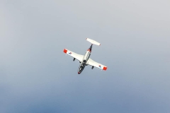 68733985_3526236627402670_3283533790923718656_n