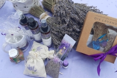 DivLavanda-2