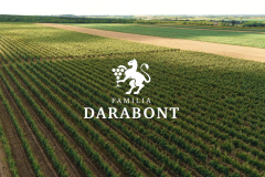 viile-familiei-darabont