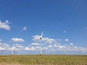 eoliana