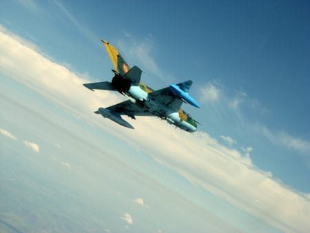 Sursa foto - http://www.roaf.ro/?page_id=2059