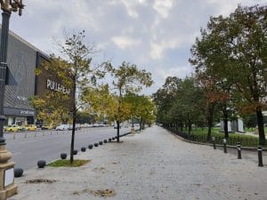 capitala Bucuresti