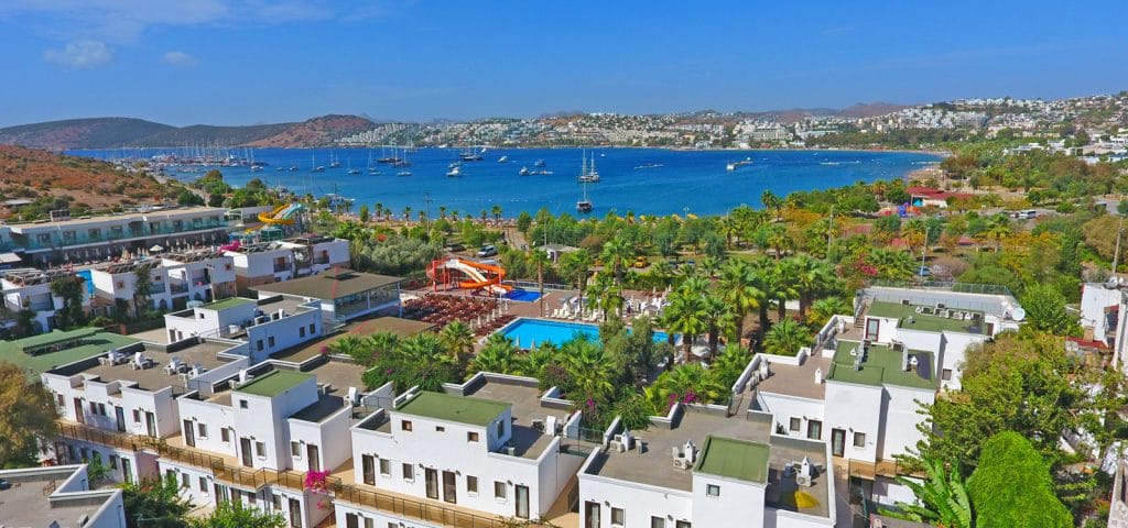 Hello Holidays