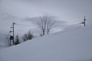 https://pixabay.com/