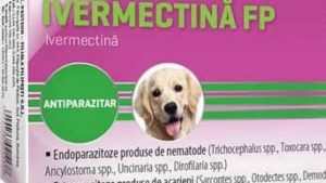 ivermectina la oameni teste COVID