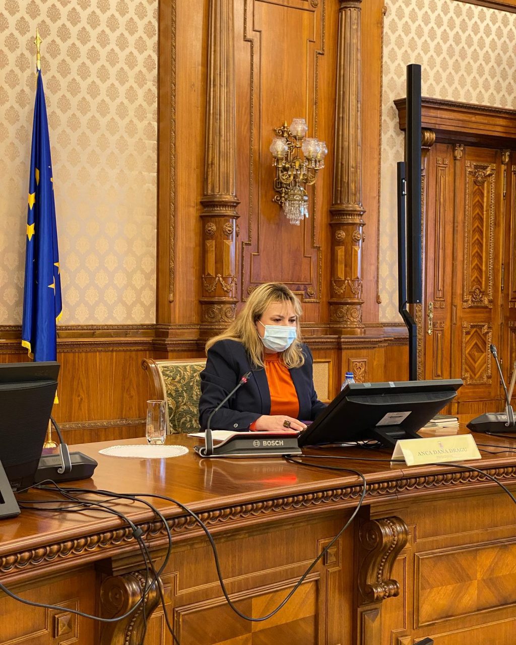 Anca Dragu