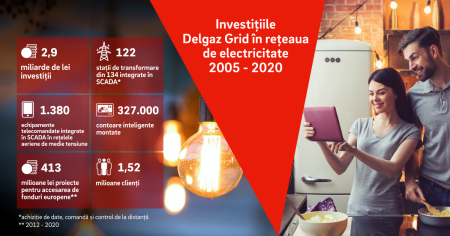 delgaz grid Investitii electricitate 2005-2020