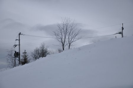 Furtuna de iarnă din Statele Unite, supranumită &rdquo;viscolul secolului&rdquo;, a ucis aproape 50 de oameni
 - poza 1