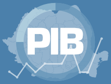 PIB insse