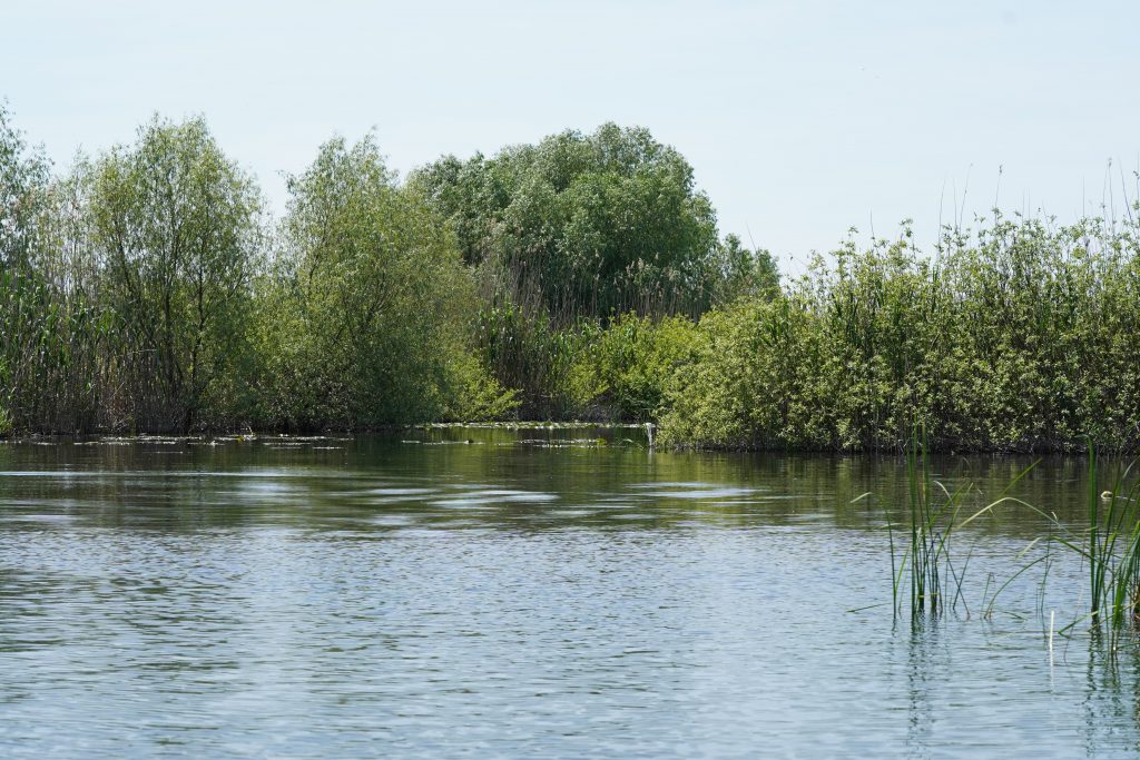 Delta Dunarii