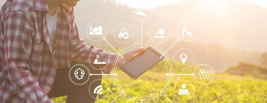 Agrii România anunță chatbotul Amira, creat pe tehnologie DRUID, pentru a simplifica activitatea agenților de vânzări