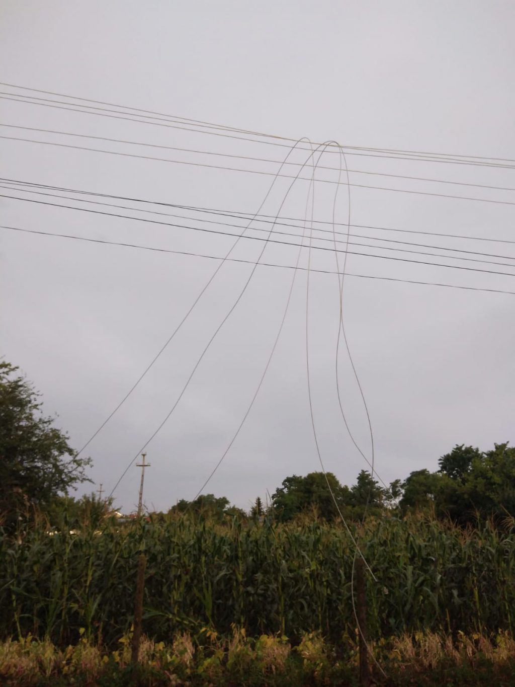 Delgaz Grid anunță că a reluat alimentarea cu energie în majoritatea localităților din Moldova afectate de furtunile puternice de ieri
