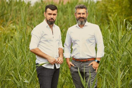 Moșia Chindia