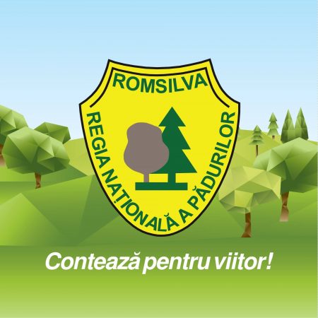 Romsilva