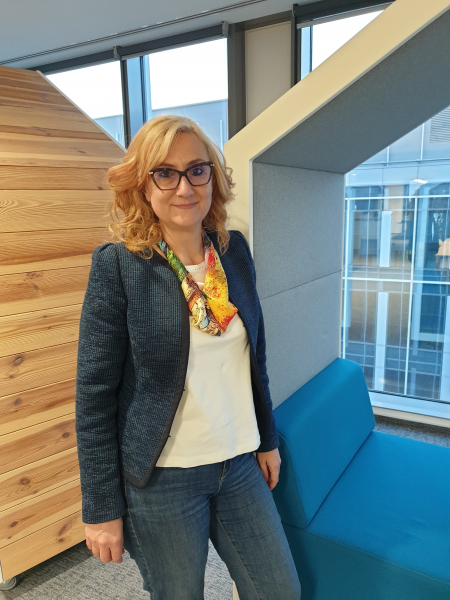 Lucica Pitulice, Chief Financial Officer, ING Bank România