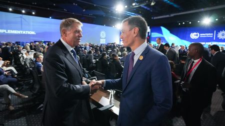 Iohannis: România sprijină pe deplin rolul de lider asumat de UE în ce priveşte limitarea schimbărilor climatice
 - poza 1