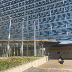 Parlamentul European: Acord privind noi măsuri pentru stimularea investițiilor cetățenilor pe piețele financiare; Măsuri pentru supravegherea „finfluencerilor” - poza 1