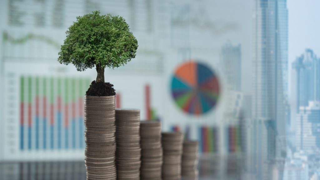 Românii pot investi în acțiuni la bursă cu doar 10 euro și fără comision_xtb