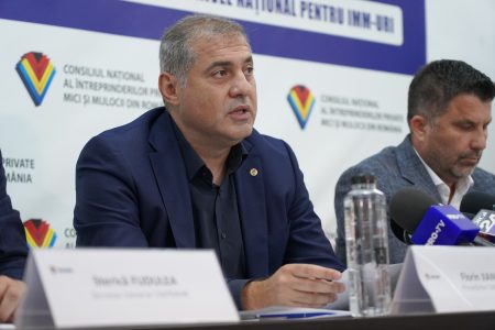 Jianu (IMM România): 8 din 10 antreprenori susţin că partidele politice nu au programe şi platforme de susţinere a mediului de afaceri - poza 1