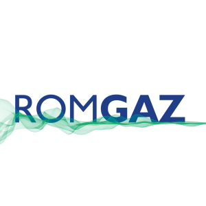 Ministerul Energiei a propus alegerea unui nou Consiliu de Administrație la Romgaz, ca urmare a finalizării procedurii de selecție - poza 1