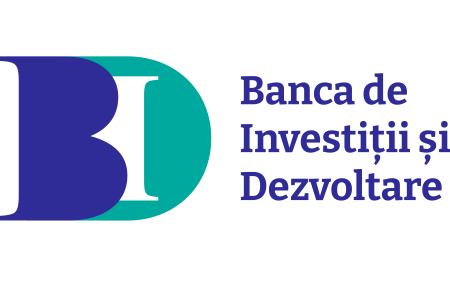 Guvernul Veştea – Program de guvernare/Capitalizarea BID va fi majorată în acest an cu cel puţin 100 milioane euro - poza 1