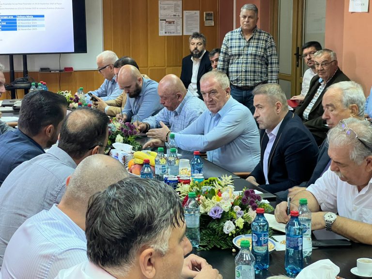 Chinese Rice Icon Ministerul Energiei, Transgaz şi Transelectrica - vizită de lucru pe ...