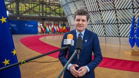 Nicusor Dan/foto presidency.ro