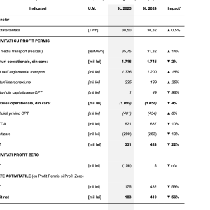 Transelectrica obține un profit net de 183 milioane lei, în primele trei trimestre - poza 1