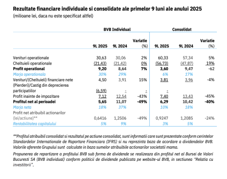 Profitul net al Grupului BVB s-a cifrat la 6,29 milioane lei, în primele nouă luni, în scădere cu 40%  - poza 1