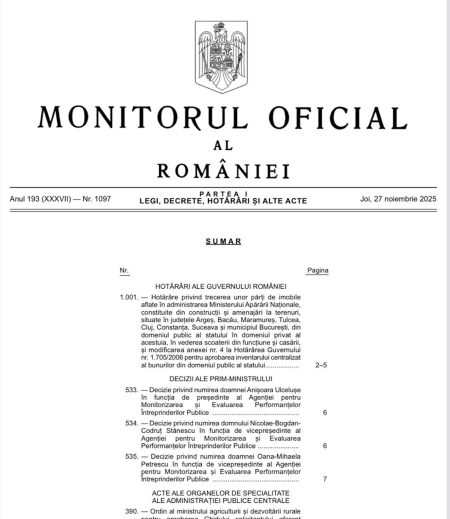 Anişoara Ulceluşe, numită în funcția de preşedinte AMEPIP; Nicolae-Bogdan-Codruț Stănescu și Oana-Mihaela Petrescu, numiți vicepreședinți - poza 1