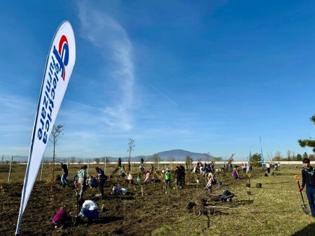 10.000 de puieți și arbuști prind rădăcini la Brașov: Electrica Furnizare, alături de Asociația Act for Tomorrow, plantează o nouă Pădure Electrica Furnizare în cadrul programului „Plantăm energie pentru viitor” - poza 1