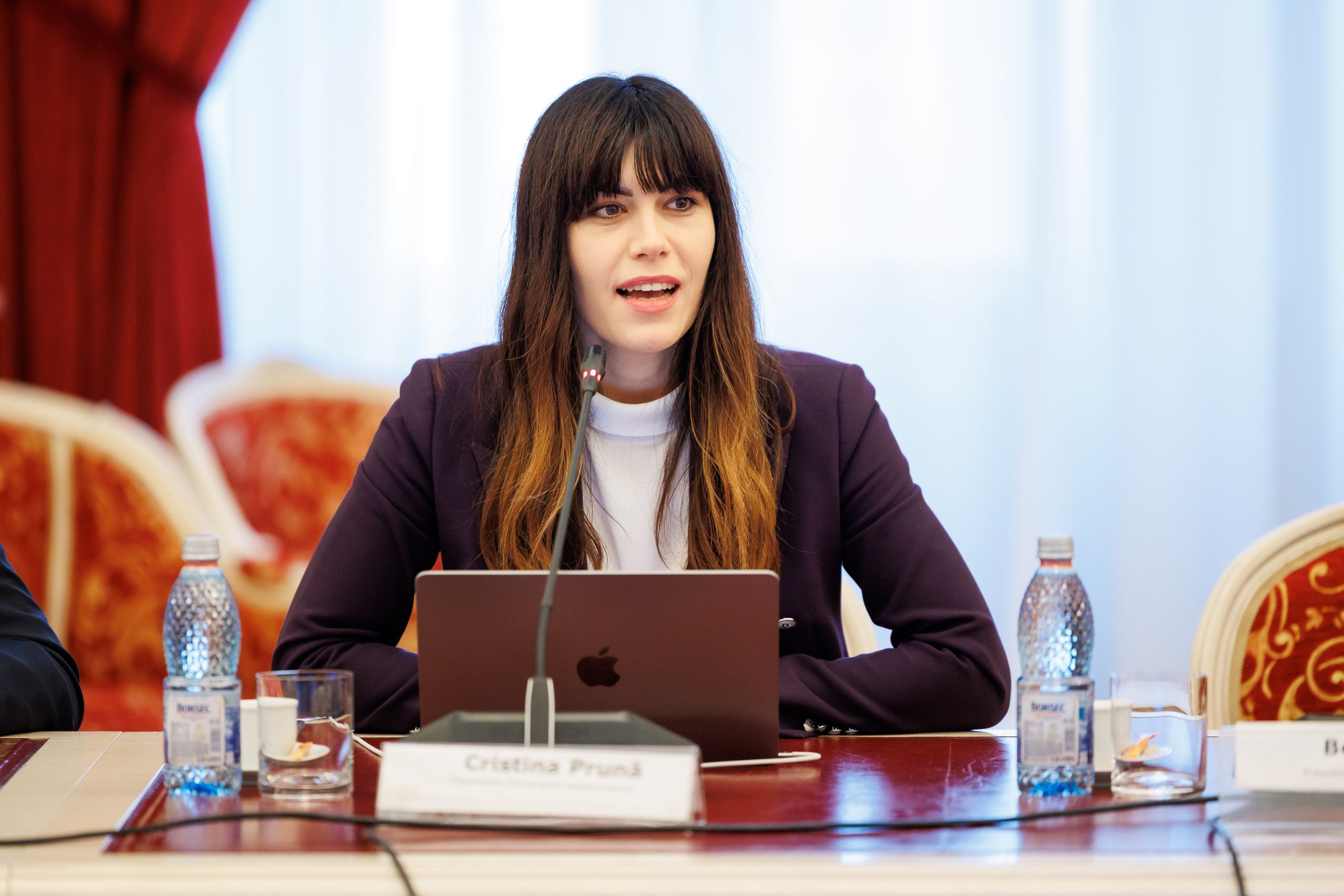 Cristina Prună: Stimulentele fiscale pot transforma gazele naturale în promotorul dezvoltării industriale şi relansarea economică a României
- poza 2