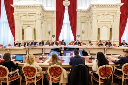 Cristina Prună: Stimulentele fiscale pot transforma gazele naturale în promotorul dezvoltării industriale şi relansarea economică a României - poza 1