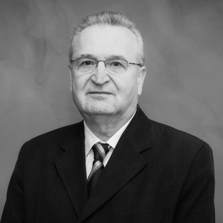 Profesorul Vasile Pușcaș: România a fost singura țară care nu avea niciun plan de schimbare după 1989 și, din păcate, această lipsă de viziune strategică se regăsește și astăzi - poza 1