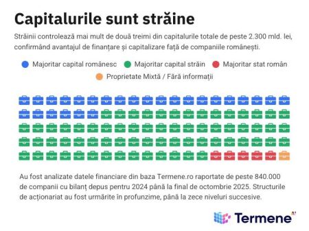 Două Românii economice: capitalul autohton domină numeric, investitorii străini domină financiar - poza 1