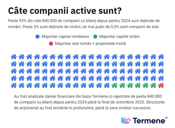 Două Românii economice: capitalul autohton domină numeric, investitorii străini domină financiar
- poza 2