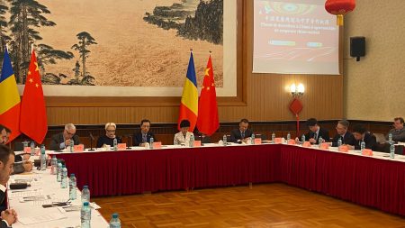 Delegație a Departamentului Internațional al Comitetului Central al Partidului Comunist din China, vizită în România  - poza 1