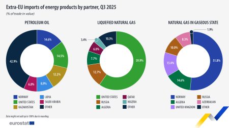Diversificarea surselor de energie a făcut UE mai rezistentă la crize geopolitice - poza 1