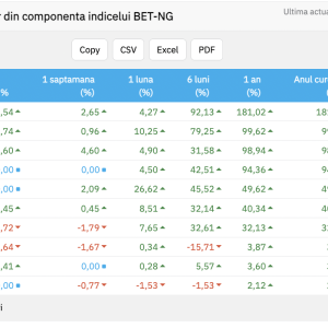 Sectorul energetic și al utilităților a fost vedeta anului 2025 pe bursa locală (brokeri); Plus de 49,62% pentru indicele BET-NG, condus detașat de titlurile Transgaz (+181,02%) - poza 1