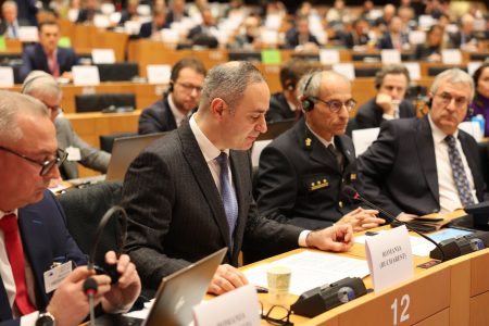 Rom&acirc;nia și-a susținut candidatura pentru găzduirea viitoarei Agenții vamale a UE &icirc;ntr-o audiere &icirc;n comisia de specialitate a PE
 - poza 1