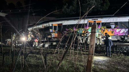 Un mecanic de locomotivă a murit într-un nou accident de tren în Spania, la câteva zile după coliziunea din sudul țării - poza 1