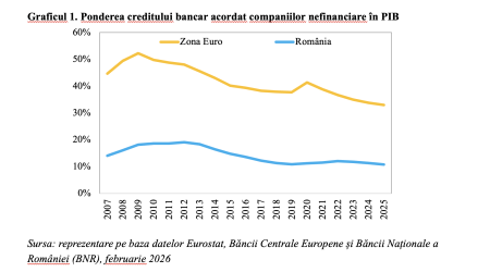Declinul creditului acordat companiilor, o cauză majoră a evoluțiilor nefavorabile din economie în ultimele trimestre (Andrei Rădulescu) - poza 1