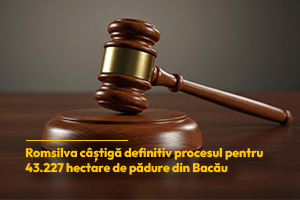 Romsilva câștigă definitiv procesul pentru 43.227 hectare de pădure din Bacău; suprafețele rămân în proprietatea statului - poza 1