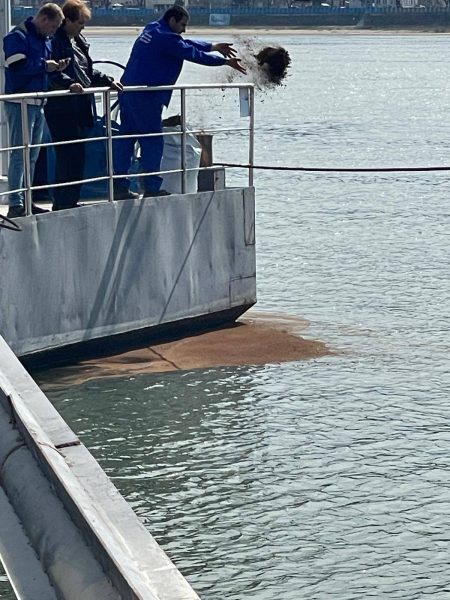 Poluare accidentală pe fluviul Dunărea, în zona Turnu Măgurele, în urma scufundării unei nave - poza 1