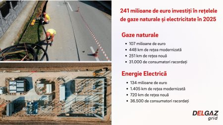 Delgaz Grid a investit, anul trecut, 241 milioane de euro în rețelele de gaze naturale și electricitate - poza 1
