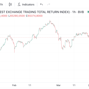 Fenomen fără precedent: patru trimestre consecutive în care bursa a înregistrat creșteri de minimum 10%, măsurate prin evoluția indicelui BET Total Return (BRK) - poza 1