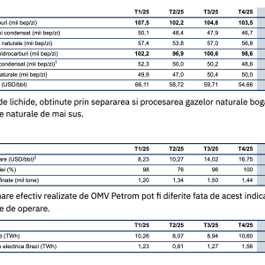 Producția de hidrocarburi a OMV Petrom a fost de 104,2 mii bep/zi, în trimestrul I, în scădere cu 3% față de T1 2025 - poza 1