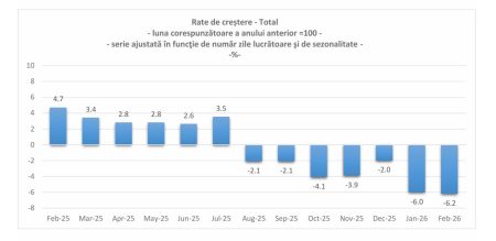 INS: Volumul cifrei de afaceri din comerţul cu amănuntul scăzut în primele două luni cu 7,6%, înainte de războiul din Iran - poza 1