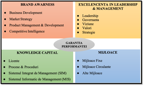 Garanția performanței în business (Eugen Lascu)
- poza 2