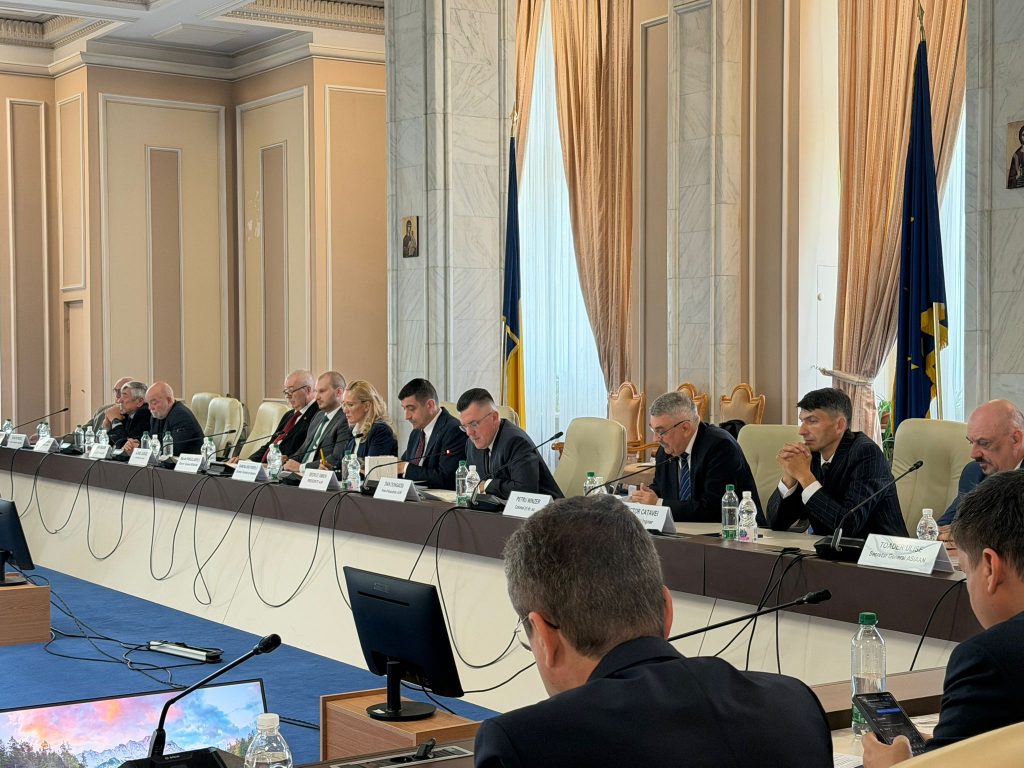 Relansarea industriei de apărare: Rom&acirc;nia trebuie să transforme cheltuielile militare &icirc;n investiții locale și locuri de muncă (dezbatere AUR)
 - poza 1